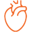 Best Cardiology | Heart Hospital in Meerut | Nutema Hospital